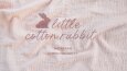Little Cotton Rabbit - Logo 