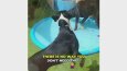 Köpekler İçin Sulu Oyun Matı Video Reklamları