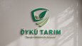 Markanı Anlatan Güçlü Logolar Tasarlıyorum