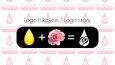 Gül Yağı-Logo Tasarımı