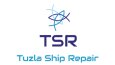 İllüstrasyon Tasarımlar Logo Tasarımı Video Editi Yapıyorum