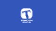 Tekden Studio Oyun Şirketi Logo Tasarımı
