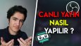 Youtube Video Küçük Resimleri