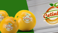 Çetinler Narenciye Logo - Kurumsal Kimlik