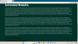 Animasyonlu Website