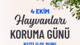 Sosyal Medya Post, İnfografik ve İçerik Tasarımları