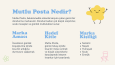 Mutlu Posta Logo & Marka Kimliği Tasarımı