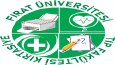 İsteğinize uygun logo tasarlanır 