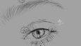 Portrait and eyes