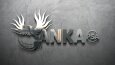 ANKA PSA