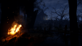 The Heart of The Forest