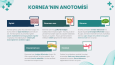Kornea (Göz Sağlığı) İnfografik Sunum