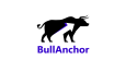 BullAnchor – X (Twitter) Marka Kimliği ve Sosyal Medya Tasar