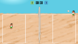 2D Beach Volleyball