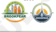 KONSEPT LOGO TASARIMI