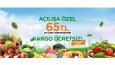 Banner Tasarımı