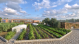Mudanya Ziraat Fakültesi | Archicad & Twinmotion