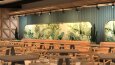 CAFE WALL DESIGN 