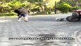 GYM VİDEO EDİT