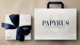 PAPYRUS - KURUMSAL KİMLİK VE SOSYAL MEDYA YÖNETİMİ