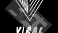 Sizin için kurumsal logo yapıyorum