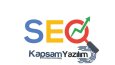 Profesyonel İç Seo Desteği