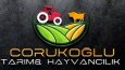 Markalara özel logo çalışmalarım!