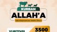 Broşür tasarımları