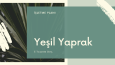 Sosyal Medya Yönetimi