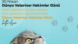 Özel Gün Tasarımları