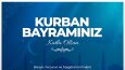 Özel Gün Tasarımlarım