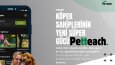 Petteach - Sosyal Medya Gönderi Tasarımları