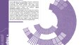 Katalog, portfolyo 