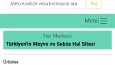 Web uygulamaları 