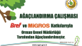 Web Banner & Market içi uygulamaları