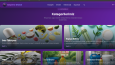 Full-Stack Web Gelistirme