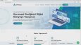 Profesyonel web siteleri