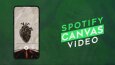 SPOTIFY CANVAS
