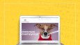 Web Sitesi Çalışmaları