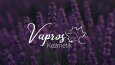 Vapros Kozmetik Logo ve Marka Kimliği