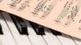Moda, müzik gibi konularda uzman bir  makale yazabilirim
