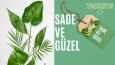 Sade ve Güzel