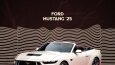 Muscle Cars - Sosyal Medya Poster Çalışmaları