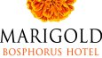 Logo Tasarımı