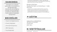 Profesyonel CV