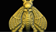 ROLYEF