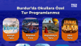 Social Media Design