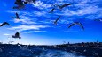 Fotoğraf Düzenleme