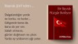 REKLAM,BELGESEL SES ÖRNEĞİDİR.