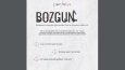 Bozgun